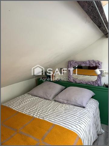 CHARME ET CACHET POUR CE T2 DUPLEX EN PLEIN COEUR DE VILLE DE NANTES