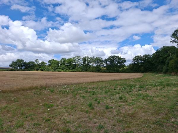 Longère rénovée en 6 pièces,128m2 plancher, double garage,au calme, impasse, au milieu des champs, proche Villaines la Juhel et Pré-en-Pail