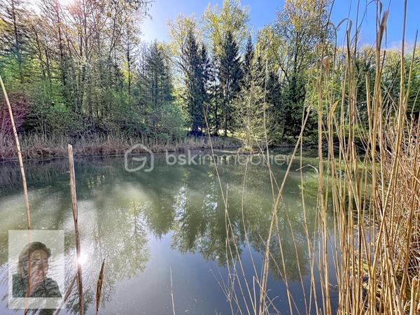 Terrain de 8 210 m²