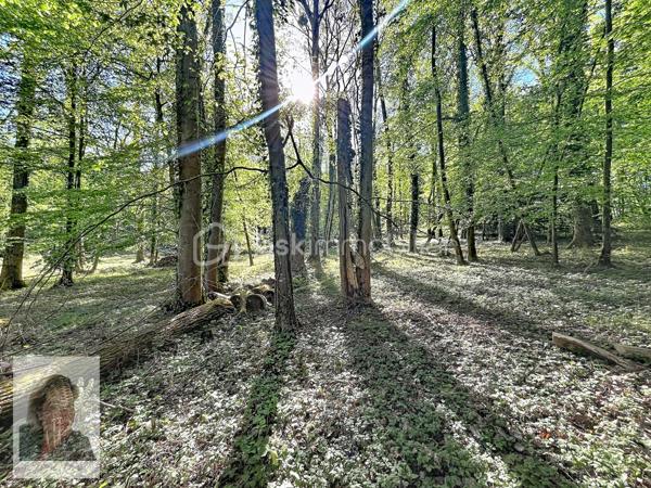 Terrain de 8 210 m²