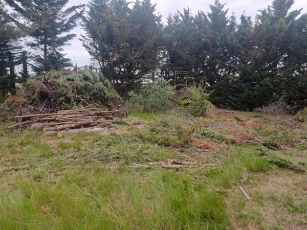 Terrain constructible 1000 m² au calme - Fronton