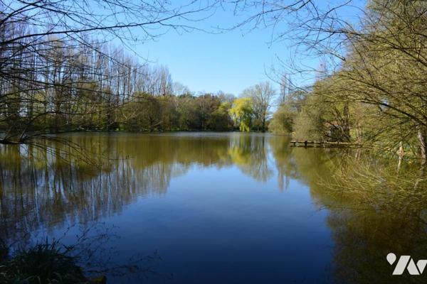 vente sur la commune de Bouère un terrain loisirs avec un étang et un hangar