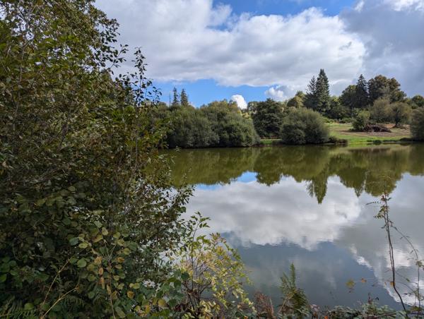 Lacs à vendre à Saint-Goussaud (23430) - Creuse