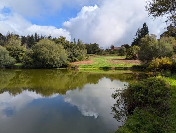 Lacs à vendre à Saint-Goussaud (23430) - Creuse