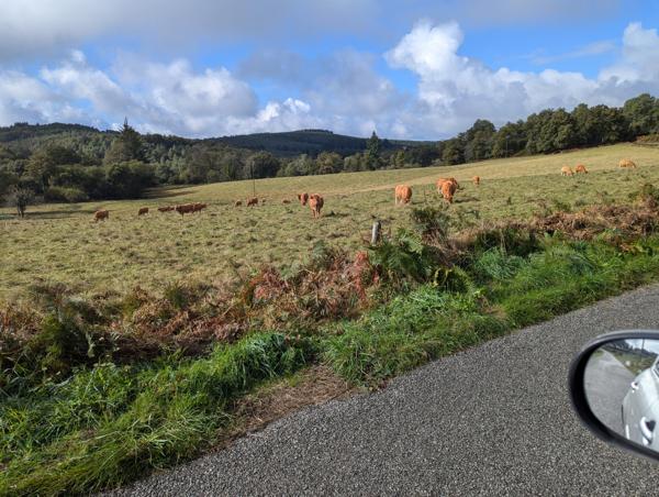 Lacs à vendre à Saint-Goussaud (23430) - Creuse
