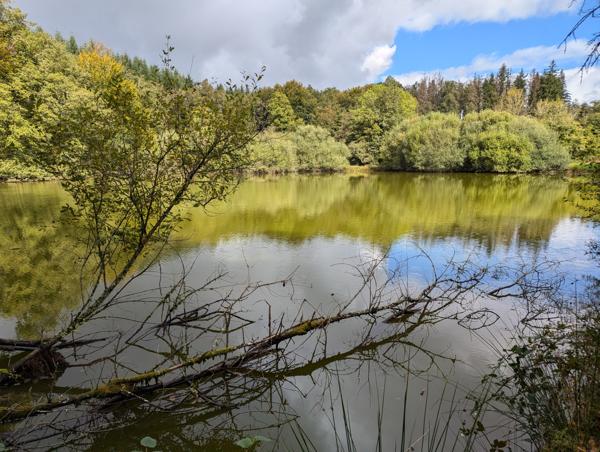 Lacs à vendre à Saint-Goussaud (23430) - Creuse