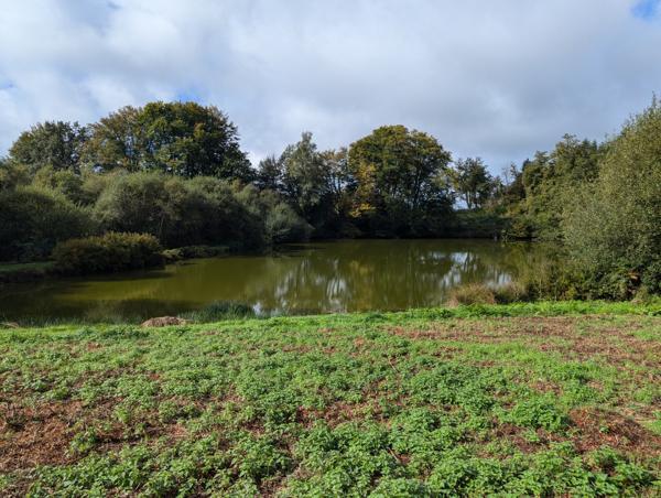 Lacs à vendre à Saint-Goussaud (23430) - Creuse