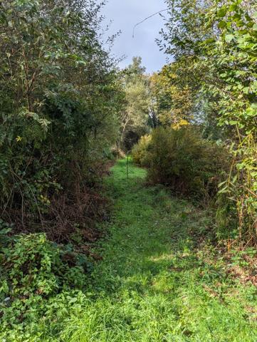 Lacs à vendre à Saint-Goussaud (23430) - Creuse