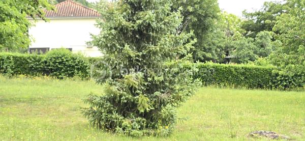 A proximité des commodités, cette maison de 98m2 sur deux niveaux se compose de 3 chambres, d'un salon chaleureux, d'une salle à manger conviviale, de 2 cuisines, d'une salle d'eau et de 2 WC séparés. 
Nombreux espaces en annexes : cellier, 2 garages, balcon, terrasse...
La maison dispose de menuiseries PVC en double vitrage, d'une toiture en bon état et d'un chauffage au fioul.
A l'extérieur vous apprécierez un jardin d'environ 700m2, complété par un atelier et une volière, parfaits pour les amateurs de bricolage, de jardinage ou de petits animaux. 
L'ensemble est situé dans un environnement offrant un accès facile aux axes de déplacement. Une voie ferrée se trouve à proximité, peu de circulation routière dans ce secteur. 
Un bien fonctionnel, avec de beaux espaces bien entretenus, bon potentiel pour une famille, un premier achat ou un projet locatif.