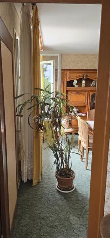 A proximité des commodités, cette maison de 98m2 sur deux niveaux se compose de 3 chambres, d'un salon chaleureux, d'une salle à manger conviviale, de 2 cuisines, d'une salle d'eau et de 2 WC séparés. 
Nombreux espaces en annexes : cellier, 2 garages, balcon, terrasse...
La maison dispose de menuiseries PVC en double vitrage, d'une toiture en bon état et d'un chauffage au fioul.
A l'extérieur vous apprécierez un jardin d'environ 700m2, complété par un atelier et une volière, parfaits pour les amateurs de bricolage, de jardinage ou de petits animaux. 
L'ensemble est situé dans un environnement offrant un accès facile aux axes de déplacement. Une voie ferrée se trouve à proximité, peu de circulation routière dans ce secteur. 
Un bien fonctionnel, avec de beaux espaces bien entretenus, bon potentiel pour une famille, un premier achat ou un projet locatif.
