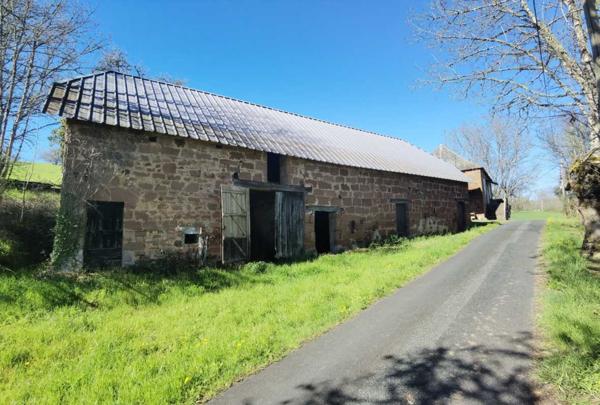 Maison ancienne - Terrasson Ferme en pierre à rénover et belles granges isolées par 7 hectares de terrain
