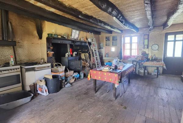 Maison ancienne - Terrasson Ferme en pierre à rénover et belles granges isolées par 7 hectares de terrain