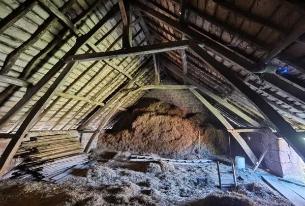 Maison ancienne - Terrasson Ferme en pierre à rénover et belles granges isolées par 7 hectares de terrain