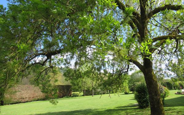 Maison à vendre    5 pièces •  Saint-Yrieix-la-Perche