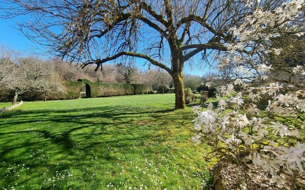 Maison à vendre    5 pièces •  Saint-Yrieix-la-Perche
