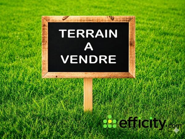 Terrain
        
        - 355 m² 340 000 € *