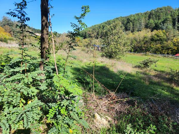 Grands terrains constructibles - pleine nature - viabilisés - plus de 1000 m² Ucel (07200)