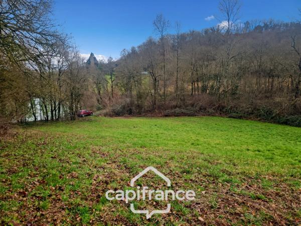 Prairie, terrain de 2.3 hactares avec source