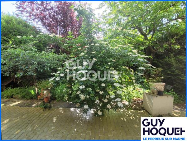 Appartement Perreux-sur-marne 3 pièces