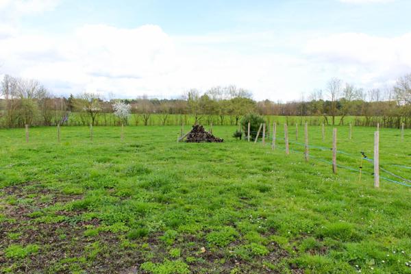 Jolie rénovation au calme ! 9000 m2 de terrain.