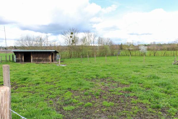 Jolie rénovation au calme ! 9000 m2 de terrain.