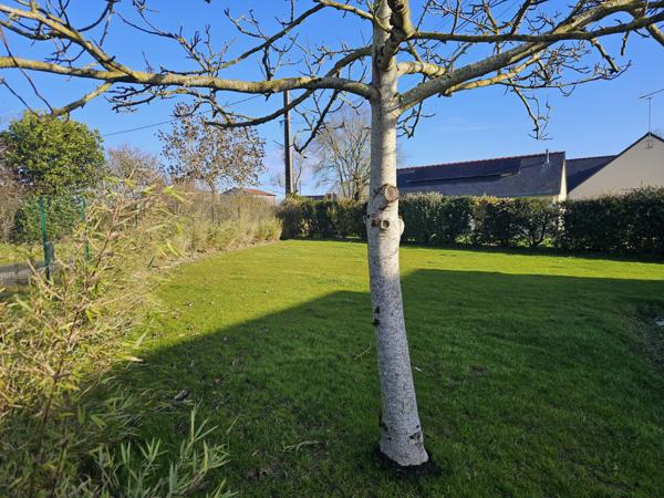 Maison rénovée 3 chambres BELLIGNE