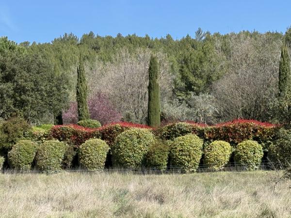 Appartement de Luxe sur Domaine Viticole