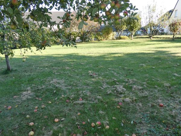 Terrain Mayenne Mayenne Terrain Mayenne Mayenne