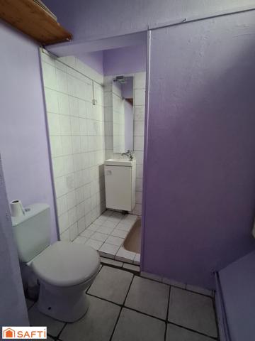 Appartement de 31 m2 avec jardin à Thaon-les-Vosges