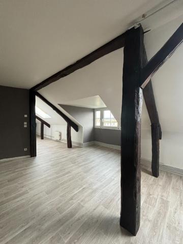 CHARMANT APPARTEMENT SPACIEUX