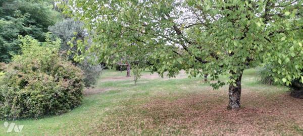 Maison à vendre à Melle dans les Deux-Sèvres (79500), ref : MR1816