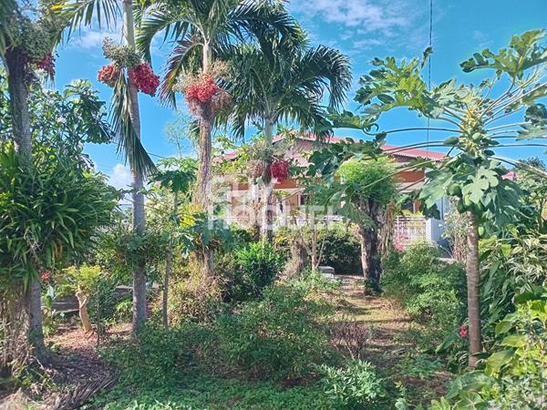 Maison Sainte Anne 161 m2