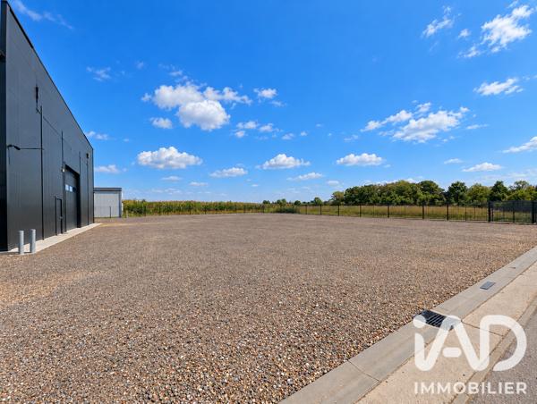 Hangar à vendre 1 249 m² Bertrange