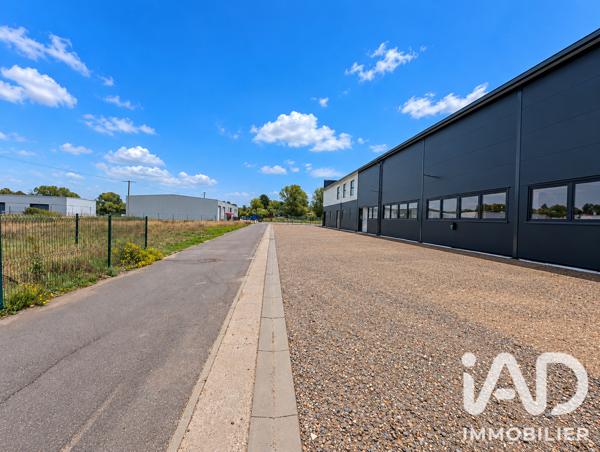 Hangar à vendre 1 249 m² Bertrange