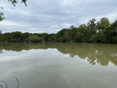 Étang à vendre à Mézières-en-Brenne dans l'Indre (36290), ref : 1051479