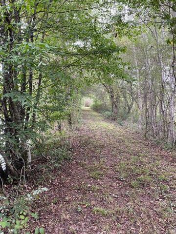 Étang à vendre à Mézières-en-Brenne dans l'Indre (36290), ref : 1051479