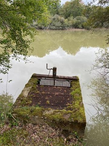 Étang à vendre à Mézières-en-Brenne dans l'Indre (36290), ref : 1051479
