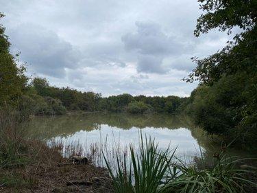 Étang à vendre à Mézières-en-Brenne dans l'Indre (36290), ref : 1051479