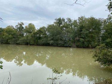 Étang à vendre à Mézières-en-Brenne dans l'Indre (36290), ref : 1051479