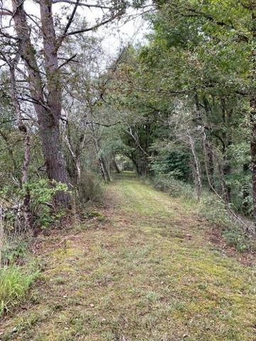 Étang à vendre à Mézières-en-Brenne dans l'Indre (36290), ref : 1051479