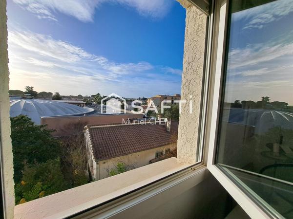Mauguio centre T3 dernier étage terrasse parking