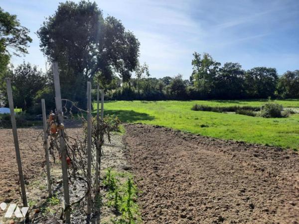 CHALLANS - En campagne 