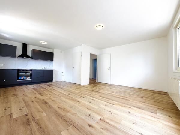 T3 lumineux rénové en 2025 - balcon au calme, aucun travaux !