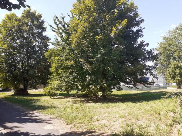 Terrain Brion 1100 m2