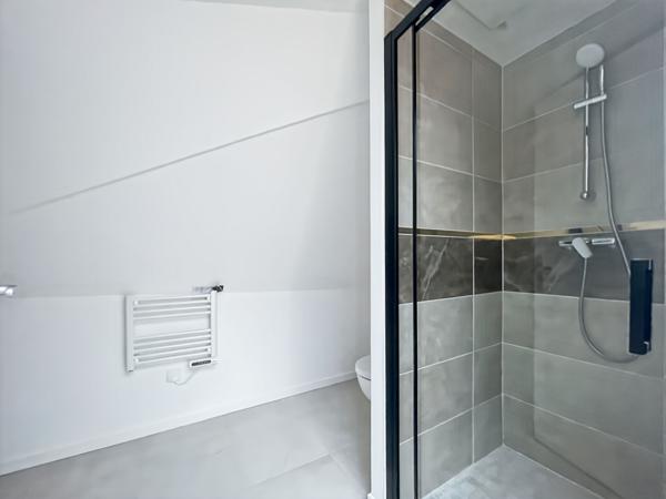 STUDIO LUMINEUX REFAIT A NEUF DANS LE CENTRE-VILLE