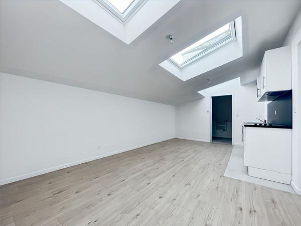 STUDIO LUMINEUX REFAIT A NEUF DANS LE CENTRE-VILLE