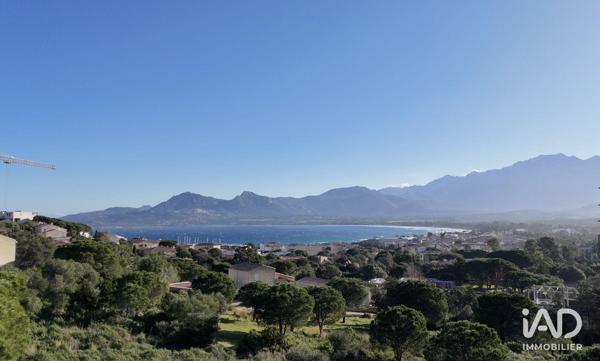 Appartement (neuf) à vendre 5 pièces 104 m² Calvi