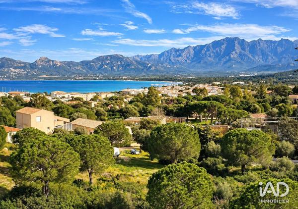 Appartement (neuf) à vendre 5 pièces 104 m² Calvi