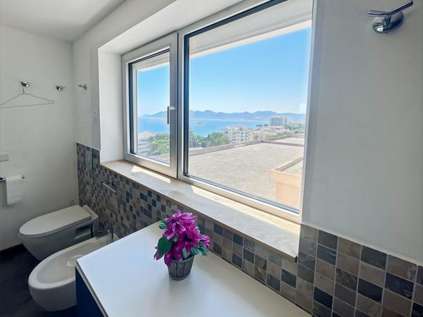 Vue Mer Panoramique Plages à pied