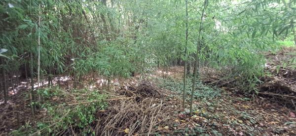 86140 LENCLOITRE Maison Lencloitre - 143.76 m2